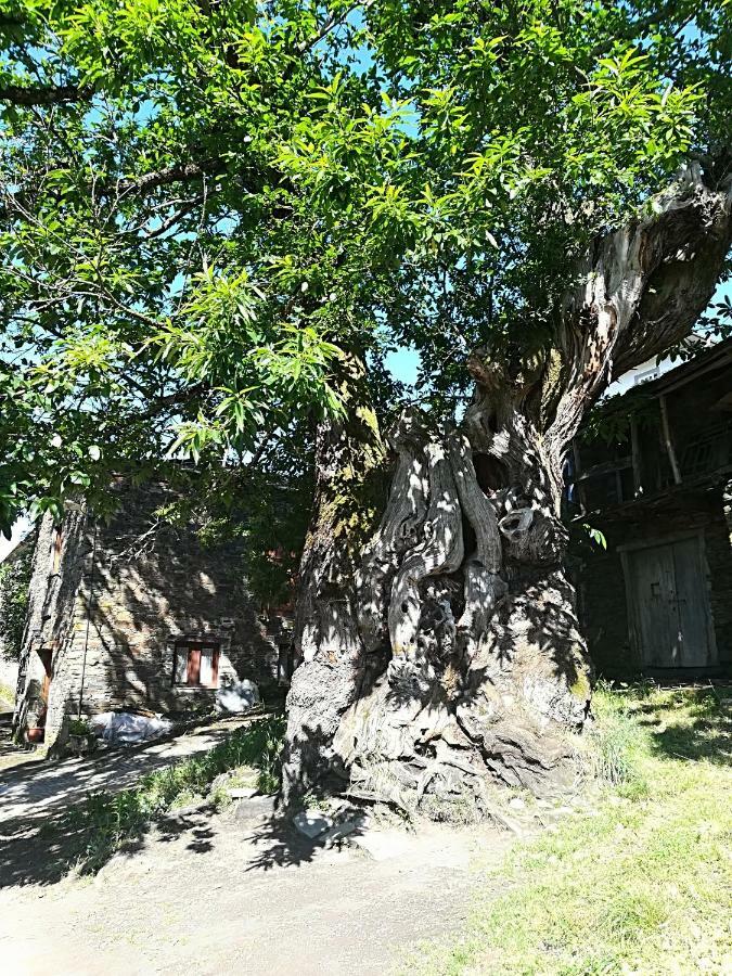 فندق ترياكاستيلافي  Casa Simon المظهر الخارجي الصورة